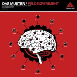 Das Muster - Feldexperiment (2012)