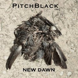 Pitch Black Inc. - New Dawn (2024) [Single]