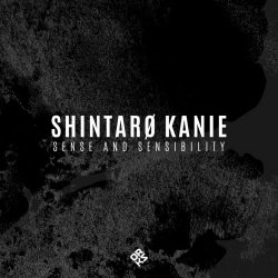 Shintarø Kanie - Sense And Sensitivity (2022)