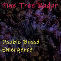 Pine Tree Radar - Double Brood Emergence (2024) [EP]