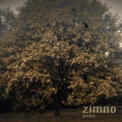 Zimno - Jesień (2024) [Single]