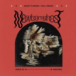 Newborn Ghost - Sharp Flowers/Dull Knives (Sarcoma Remix) (2024) [Single]