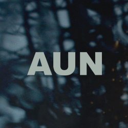 AUN - Mule (2007)