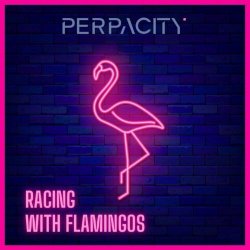 Perpacity - Racing With Flamingos (2024) [Single]