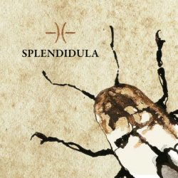 Splendidula - Splendidula (2013)