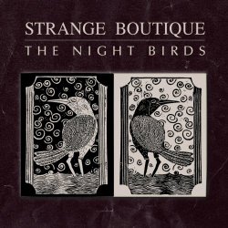 Strange Boutique - The Night Birds (2024) [Single]