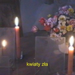 Kryształ - Kwiaty Zła (2024) [Single]