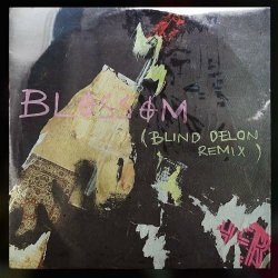 Abu Nein - Blossom (Blind Delon Remix) (2024) [Single]