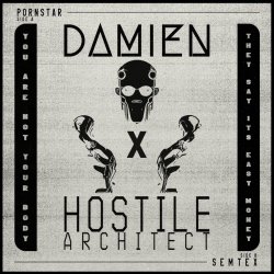 Damien & Hostile Architect - Pornstar/Semtex (2024) [Single]