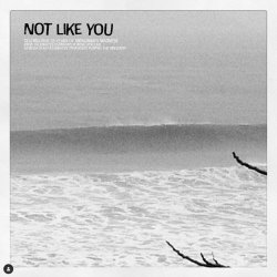 Pelvs & Devilish Dear - Not Like You (2024) [Single]