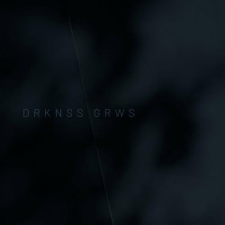 Patrik Adolfsson - Drknss Grws (2024) [Single]