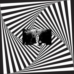 Petrified Entity - Flesh (2024) [Single]