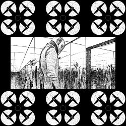 Petrified Entity - Drone (2024) [Single]
