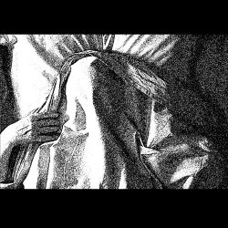 Petrified Entity - Domineers (2024) [Single]