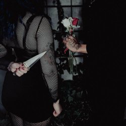 Velas Negras - Albatross (2023) [Single]
