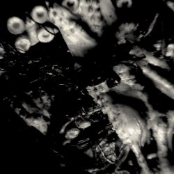 Igmoreia - Disoriented (2024) [EP]