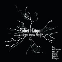 Robert Logan - Accurate Remix Boy (2009) [EP]