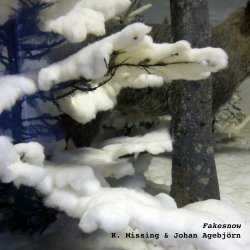 R. Missing - Fakesnow (2025) [Single]