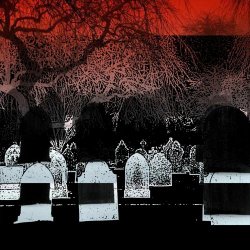 Petrified Entity - Force (2025) [Single]