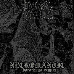 Twice Dark - Necromantic (Hororhaus Remix) (2025) [Single]
