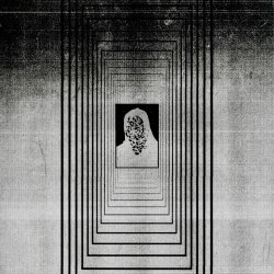 Petrified Entity - Just Night (2025)