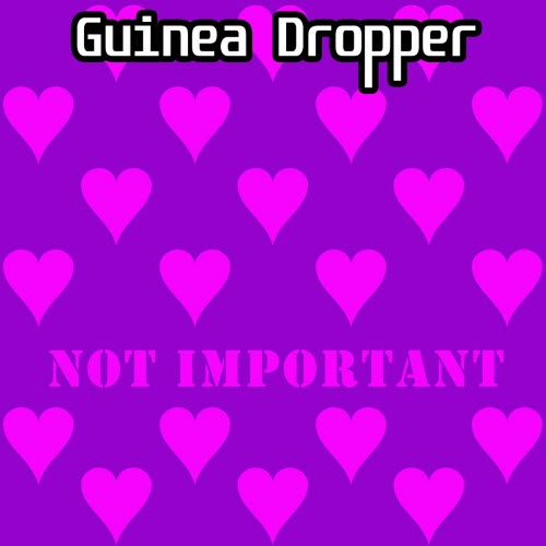 Guinea Dropper - Not Important (2025)