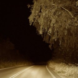 Tony Bluebird - Ena Fantasma (2024) [Single]