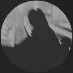 Vera Grace - Funktion Over Form (2025)