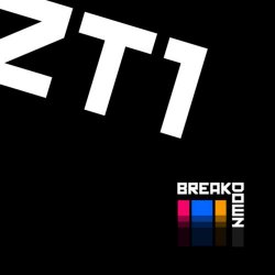 Zebra Type 1 - Breakdown (2025)