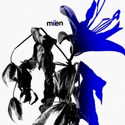 MIEN - MIIEN (2025)
