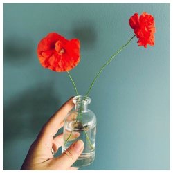 Science In Nature - Say Something (2023) [Single]