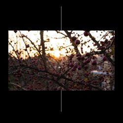 SVNTH - Hourglasses Crambles Along The Orange Fucked Sky (2019) [Single]