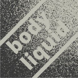 Body Liquid - Lowlands Demo (2022) [Single]