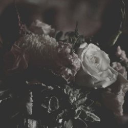VickVapors - Embedded (2025) [Single]