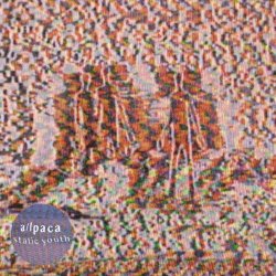 A/Lpaca - Static Youth (2019) [Single]