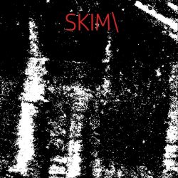 The Force Dimension - Skim (2020) [Single]