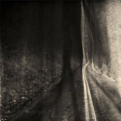 The Rose Phantom - Dark Moods (2015)