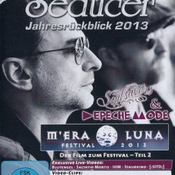 VA - Cold Hands Seduction Vol. 149 - Jahresrückblick 2013 (2013)