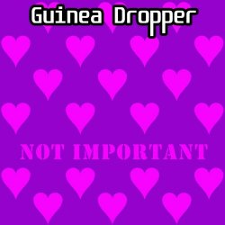 Guinea Dropper - Not Important (2025)