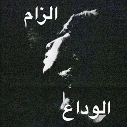 Aurat - Ilzam / Alvida (2019) [Single]