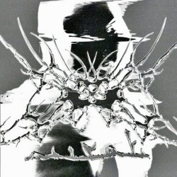 Aurat - Kismet (2025) [Single]