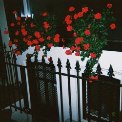 Blood Club - Sufres Porque Quieres (2025) [EP]