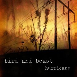 Bird And Beast - Hurricane (2023) [Single]