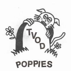 TVOD - Poppies (2023) [Single]