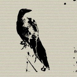 Acid Fader - Remedio (2025) [Single]