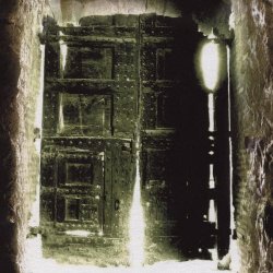 Xiphoid Dementia - Embalmed In Purity (2005)