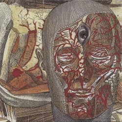 Xiphoid Dementia - Meditation Convulsions (2012)