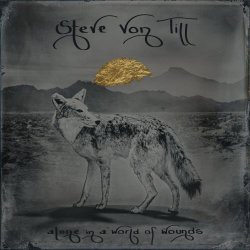 Steve Von Till - Alone In A World Of Wounds (2025)