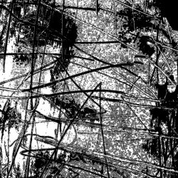 Jesse Draxler - The Wounds Of Failure The Pillars Of Desire (2025) [Single]