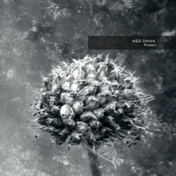 Aes Dana - Pollen (2017) [Remastered]
